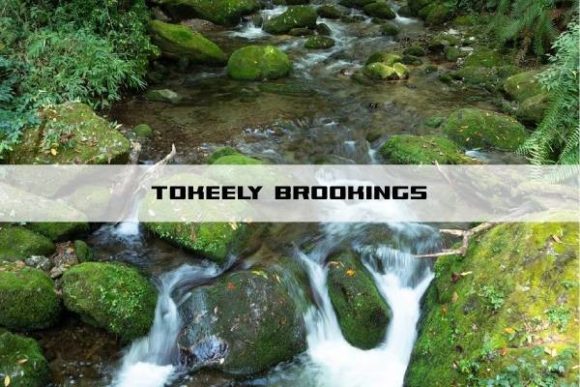 Tokeely: The Modern Display Typeface for Scroll-Stopping Marketing