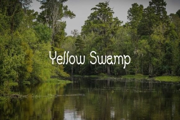 Yellow Swamp: The Golden Touch for Your Brand's Font
